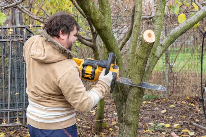 Oak Tree Trimming