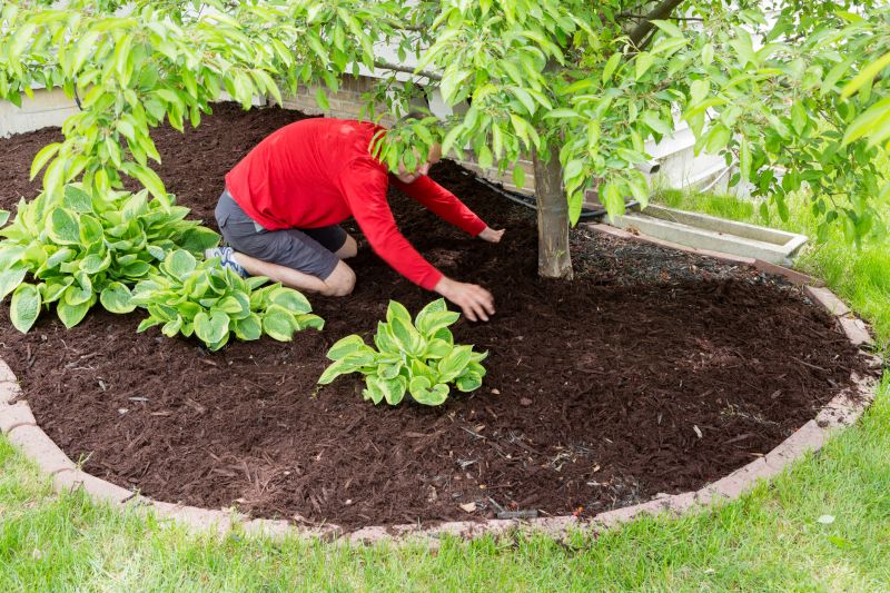 Oak Mulch in Use
